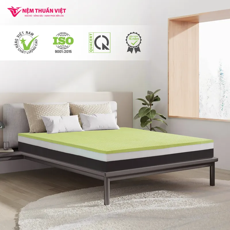 hybrid-hinh-01-800x800