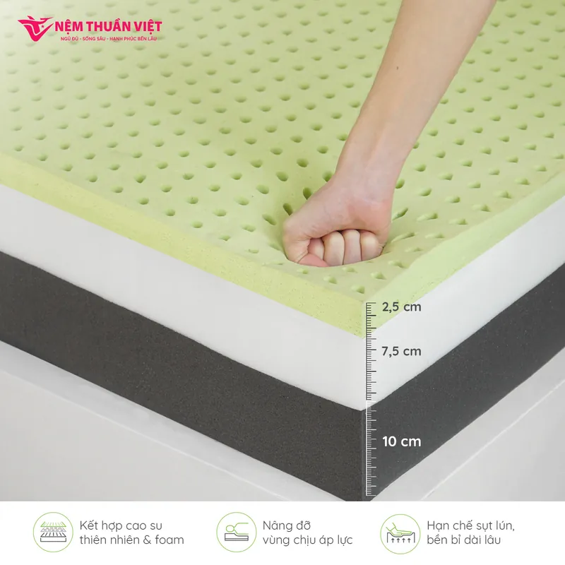 hybrid-hinh-04-800x800