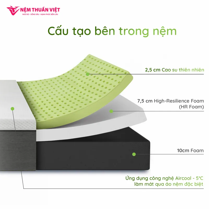 hybrid-hinh-06-800x800