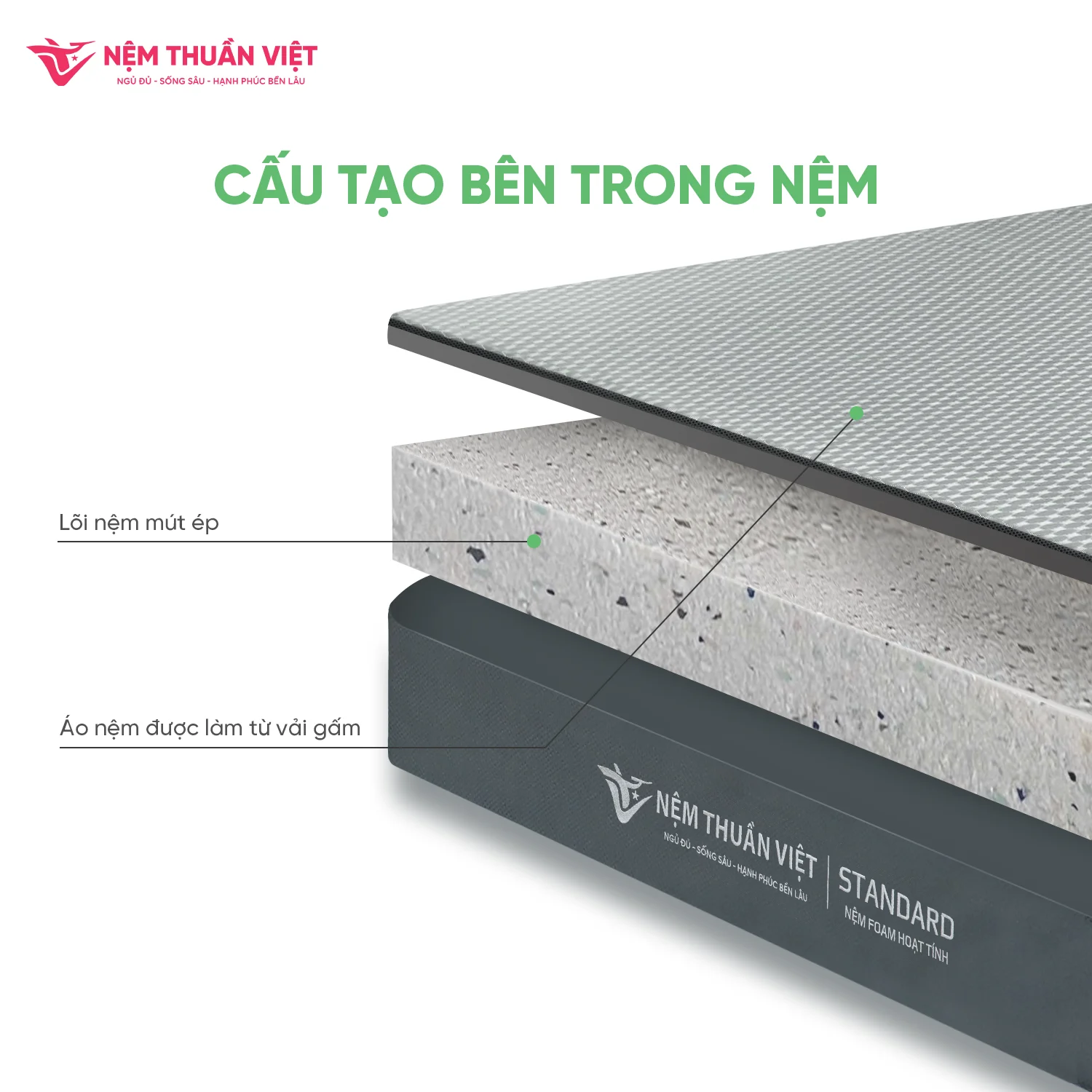 cau-tao-nem-standard