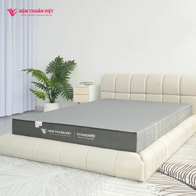 nnem-foam-hoat-tinh-thuan-viet-standard-7-standard-800