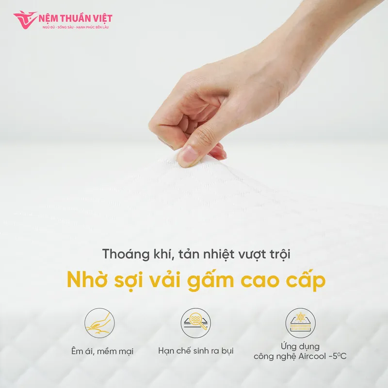 hybrid-plus-03-800x800