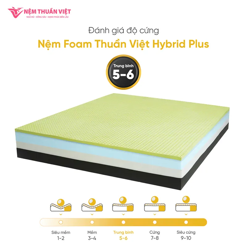 hybrid-plus-06-800x800