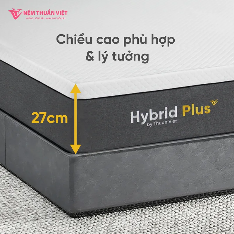 hybrid-plus-08-800x800