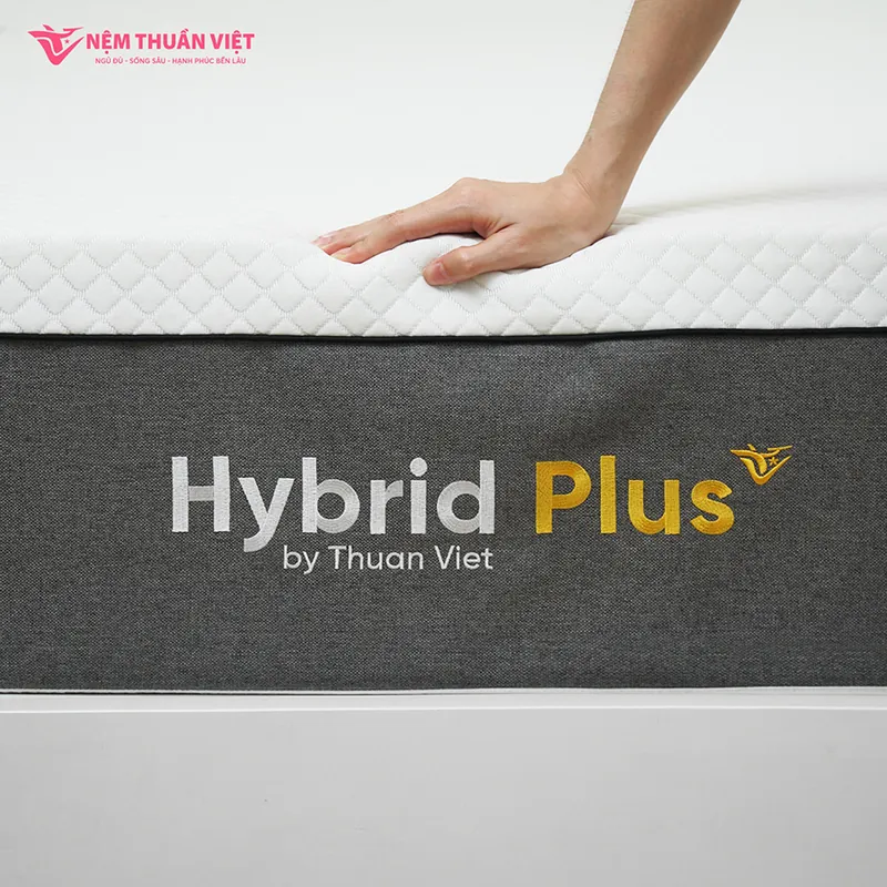 hybrid-plus-artboard-3-800x800