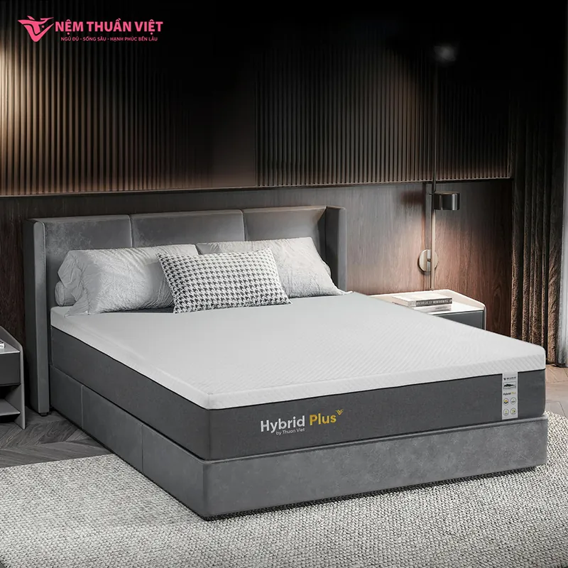 hybrid-plus-artboard-4-800x800-1