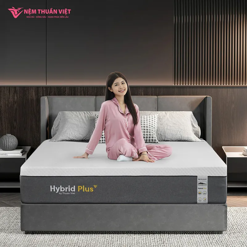 hybrid-plus-artboard-4-800x800