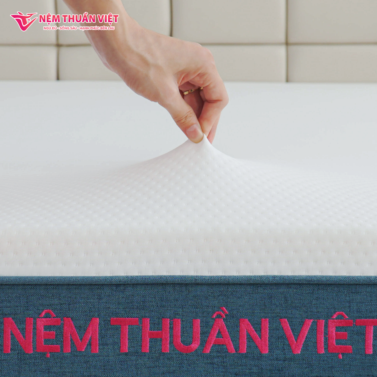 nem-foam-phan-vung-thuan-viet-3zone-6-1