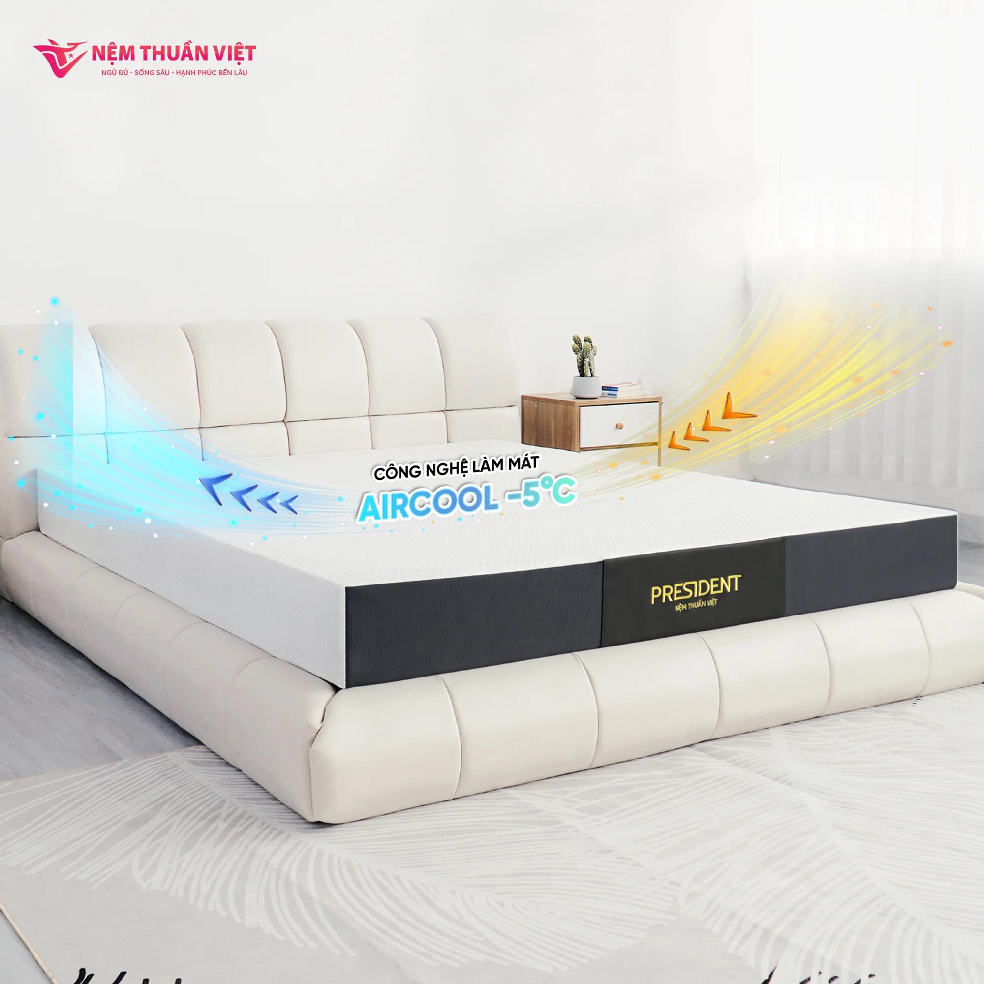 nem-cao-su-hoat-tinh-president-mo-ta-web-3