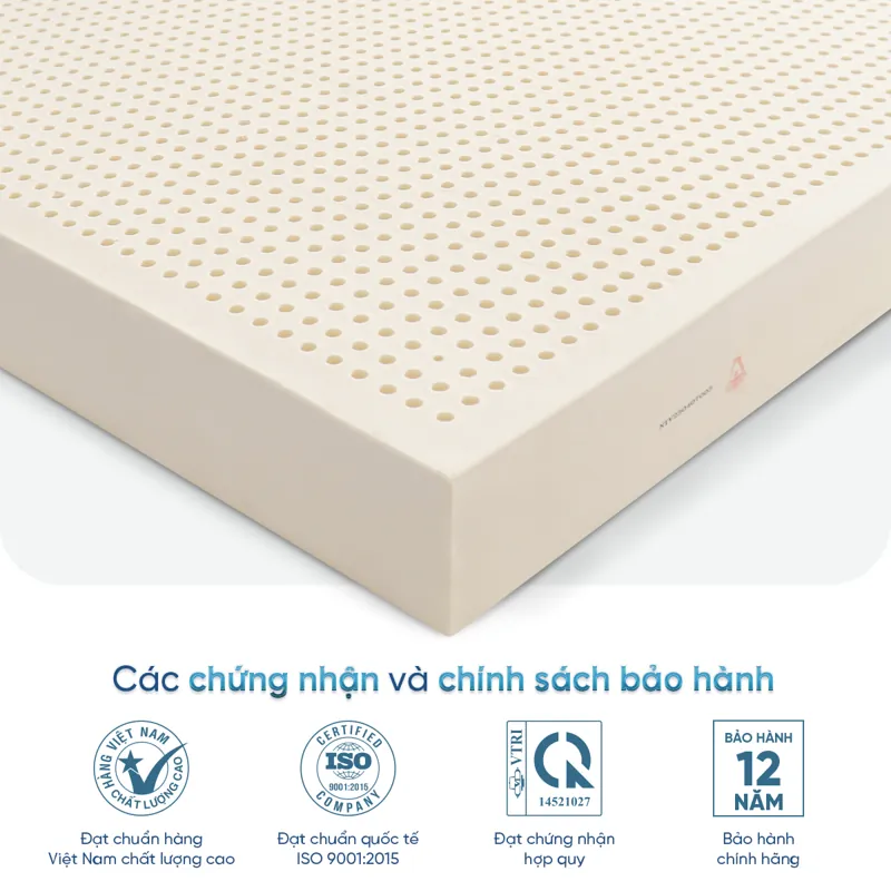 info-cao-su-legend-6